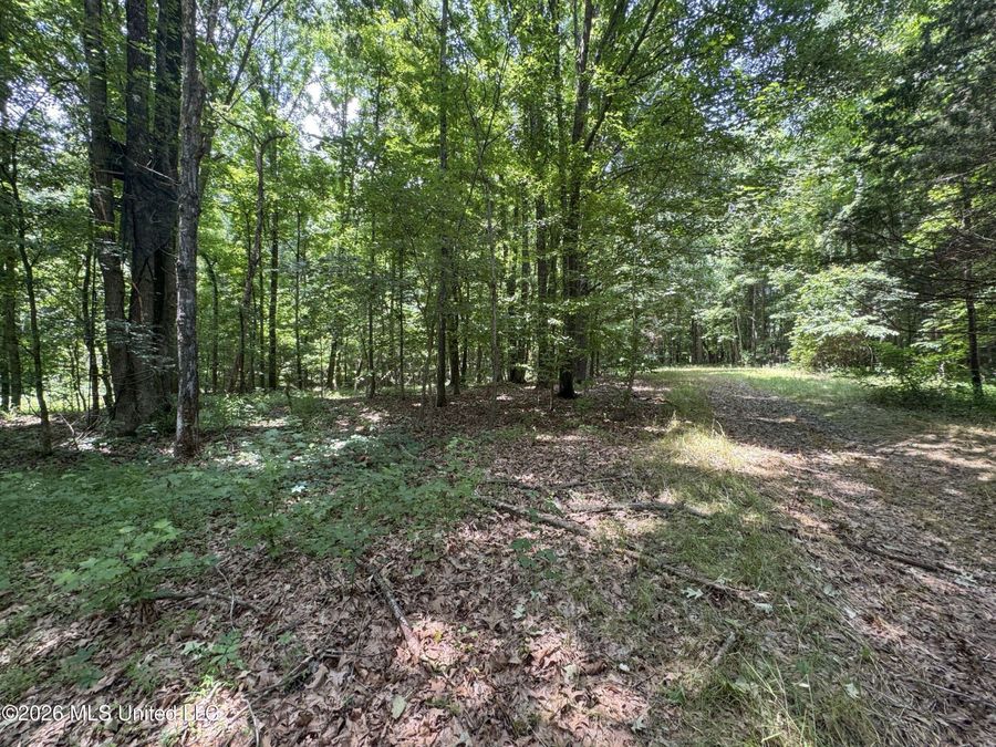 Property Image 118