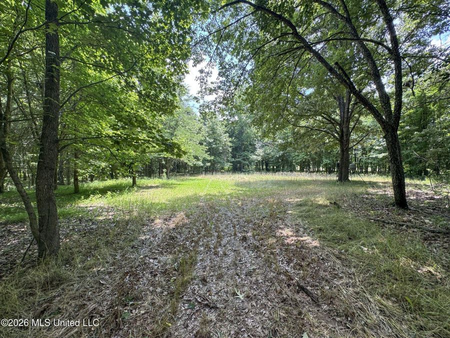 Property Image 120