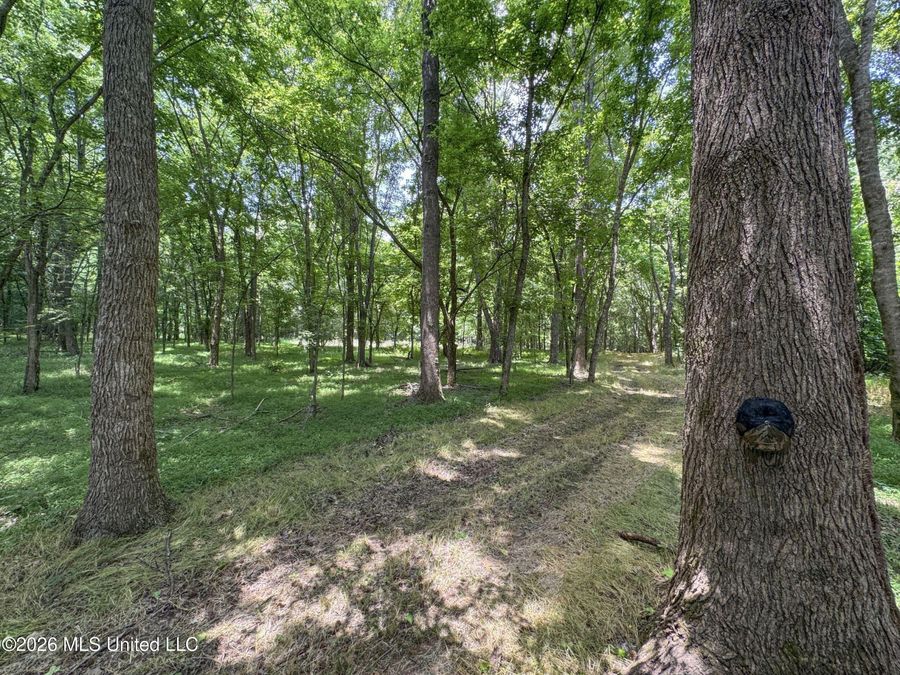 Property Image 130