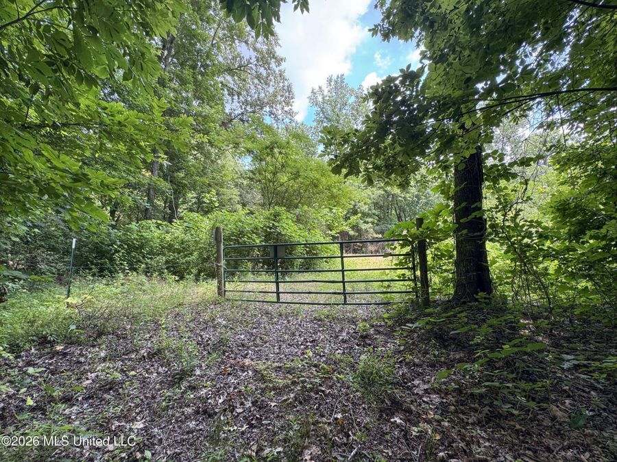 Property Image 135