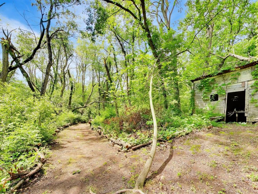 Property Image 24