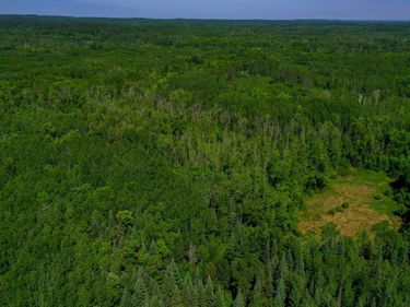 TBD County Highway 47 , Osage, MN 56570