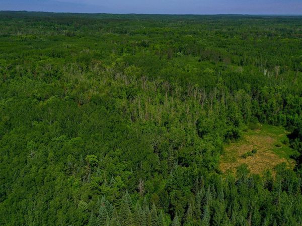 TBD County Highway 47 , Osage, MN 56570