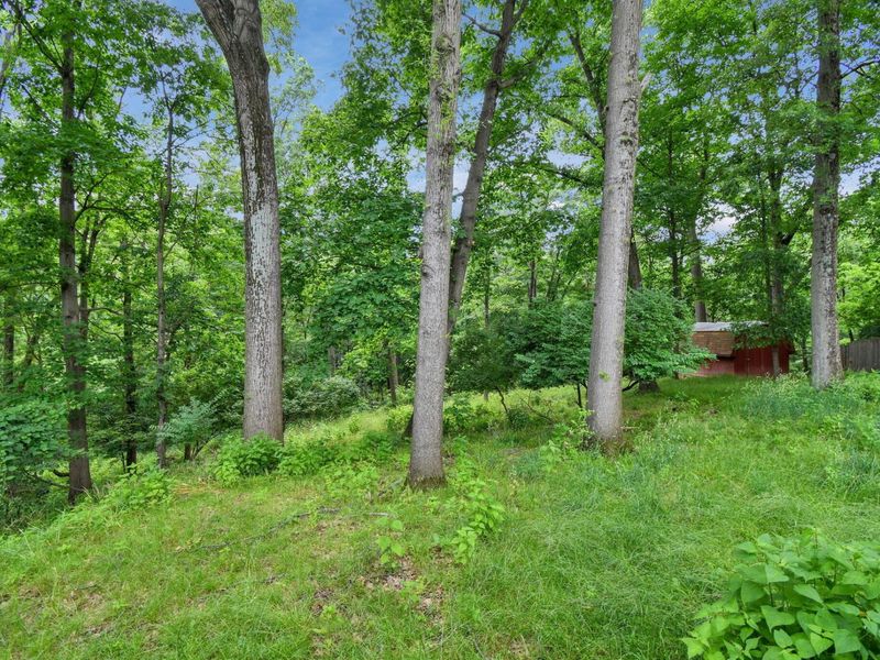 5650 Indian Mound Court , Columbus, OH 43213 Photo 51