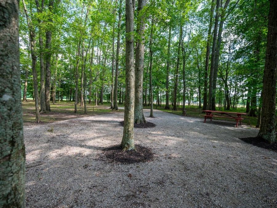 Property Image 65