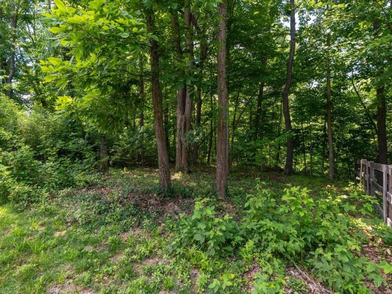 7969 Saddleback Place, Deerfield Twp., OH 45039 Photo 41