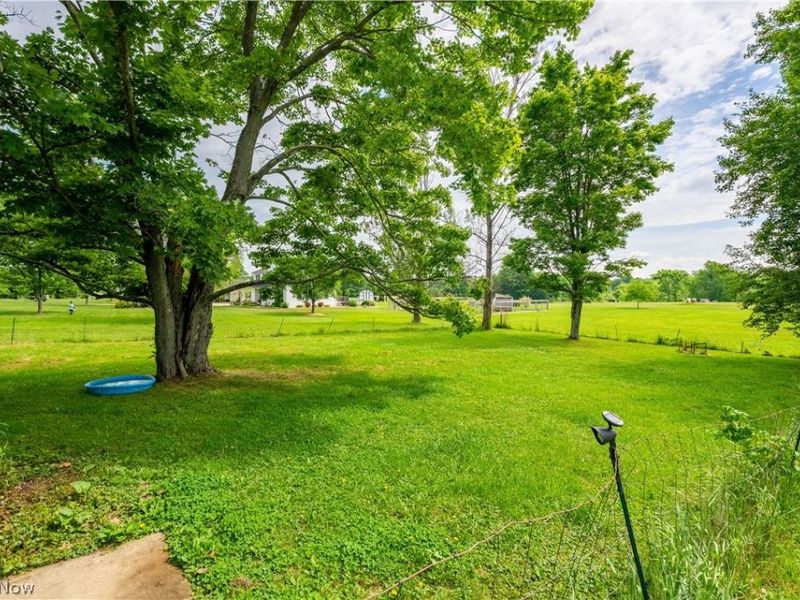 3372 McClintocksburg Road, Diamond, OH 44412 Photo 4