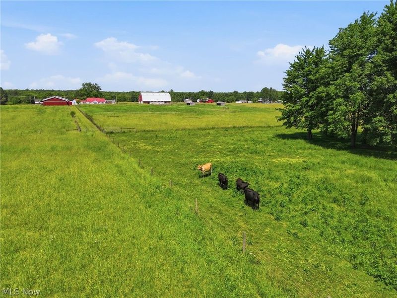 6738 State Route 7, Andover, OH 44003 Photo 43