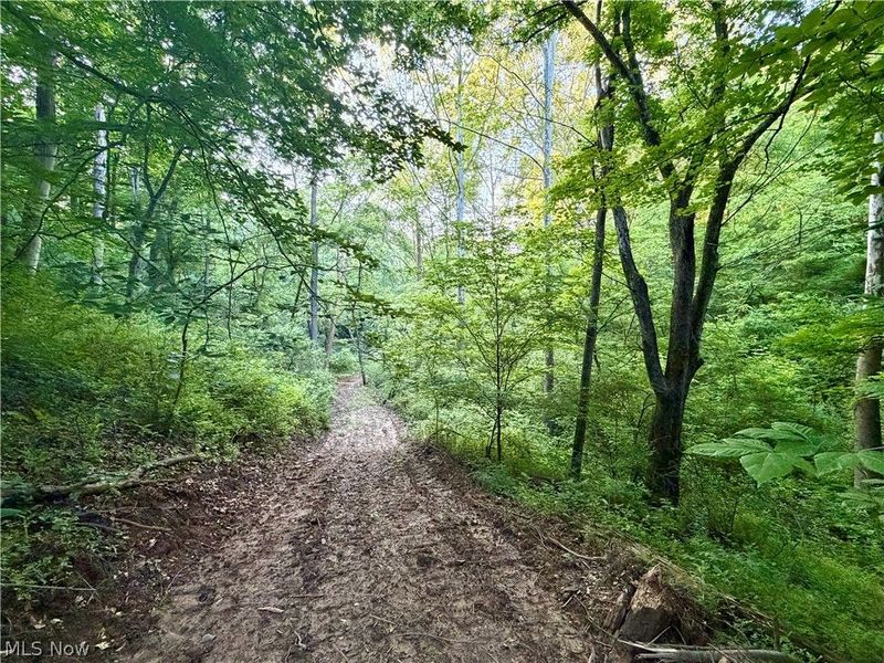 Sykes Ridge Road, Clarington, OH 43915 Photo 11