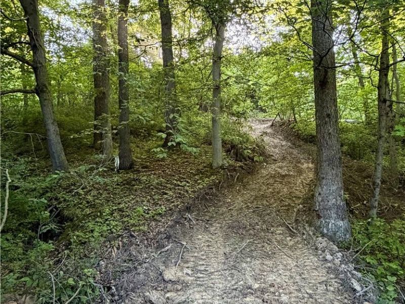 Sykes Ridge Road, Clarington, OH 43915 Photo 12