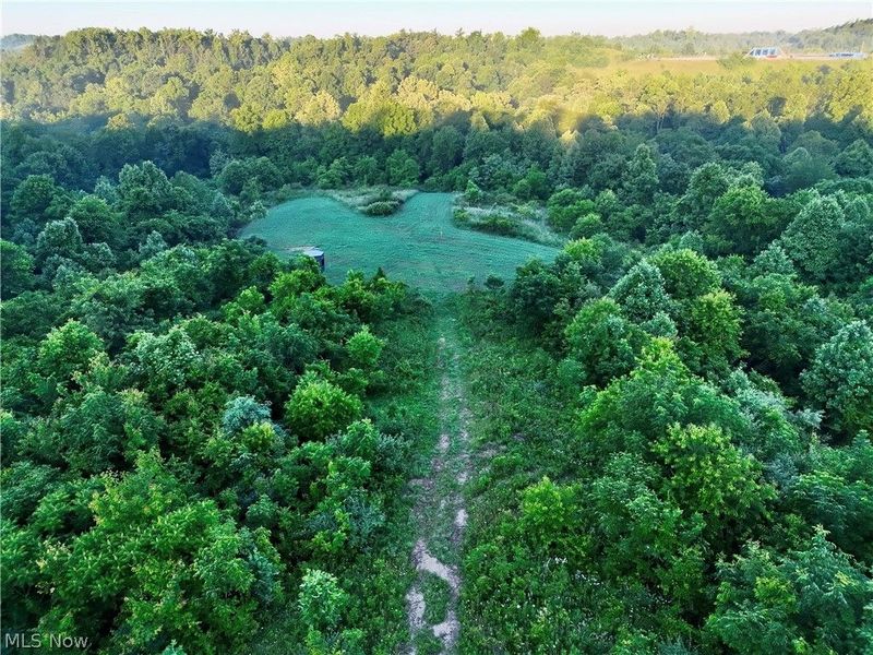 Sykes Ridge Road, Clarington, OH 43915 Photo 13