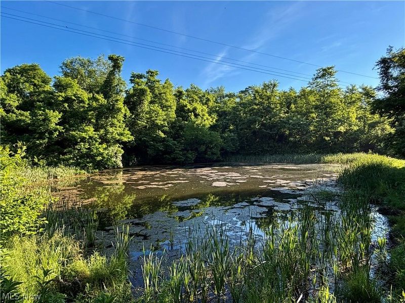 Sykes Ridge Road, Clarington, OH 43915 Photo 15