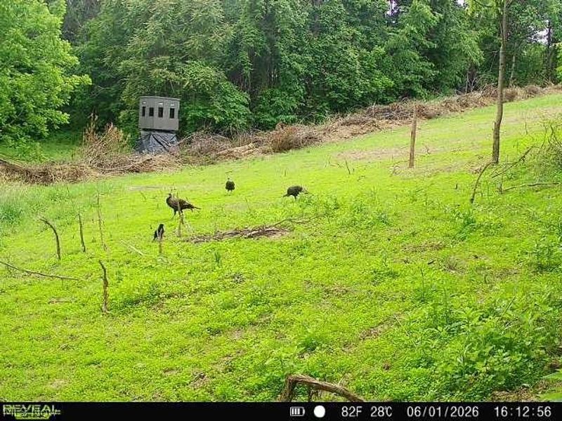 Sykes Ridge Road, Clarington, OH 43915 Photo 16