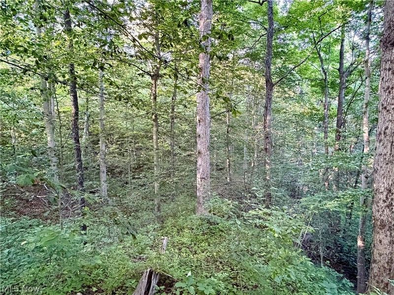 Sykes Ridge Road, Clarington, OH 43915 Photo 19