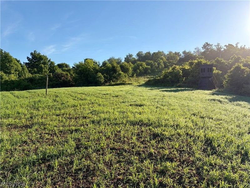 Sykes Ridge Road, Clarington, OH 43915 Photo 24