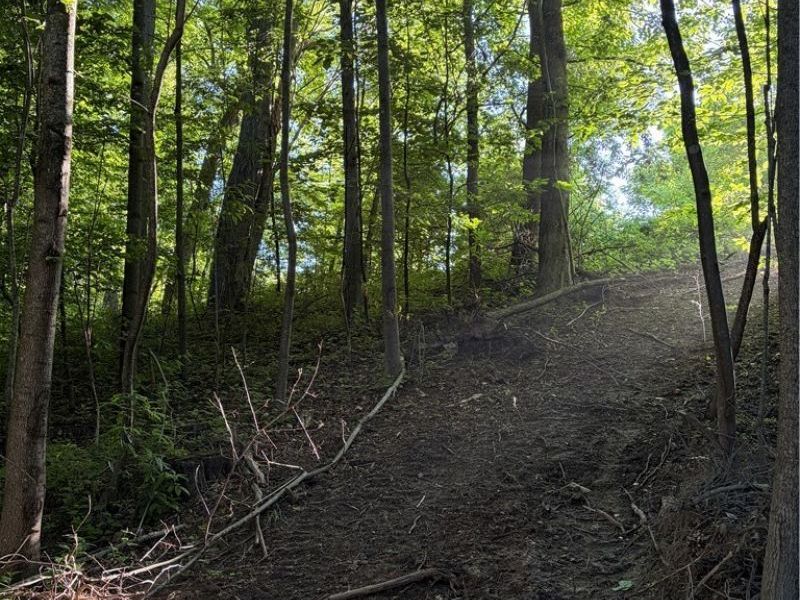 Sykes Ridge Road, Clarington, OH 43915 Photo 25