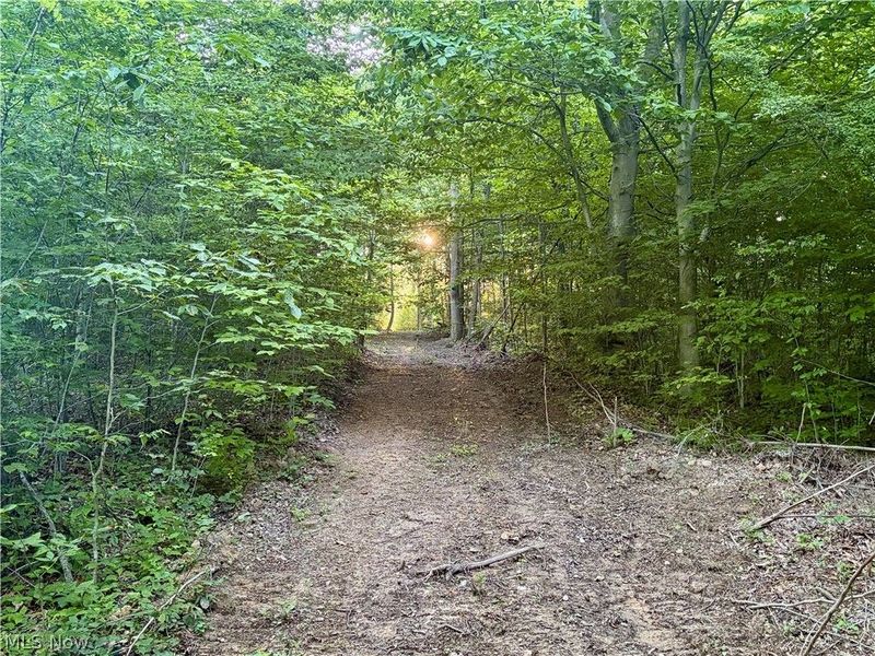 Sykes Ridge Road, Clarington, OH 43915 Photo 28