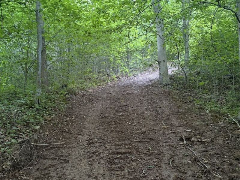 Sykes Ridge Road, Clarington, OH 43915 Photo 29
