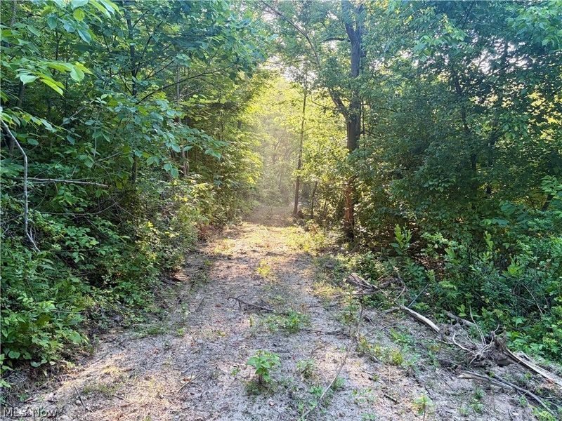 Sykes Ridge Road, Clarington, OH 43915 Photo 31