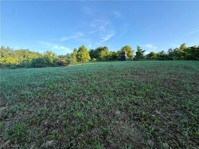Sykes Ridge Road, Clarington, OH 43915 Photo 34