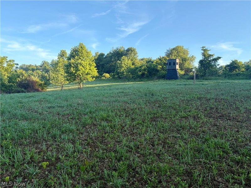 Sykes Ridge Road, Clarington, OH 43915 Photo 35