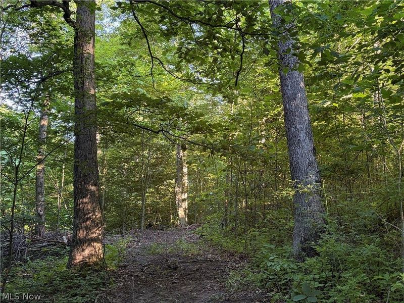Sykes Ridge Road, Clarington, OH 43915 Photo 36