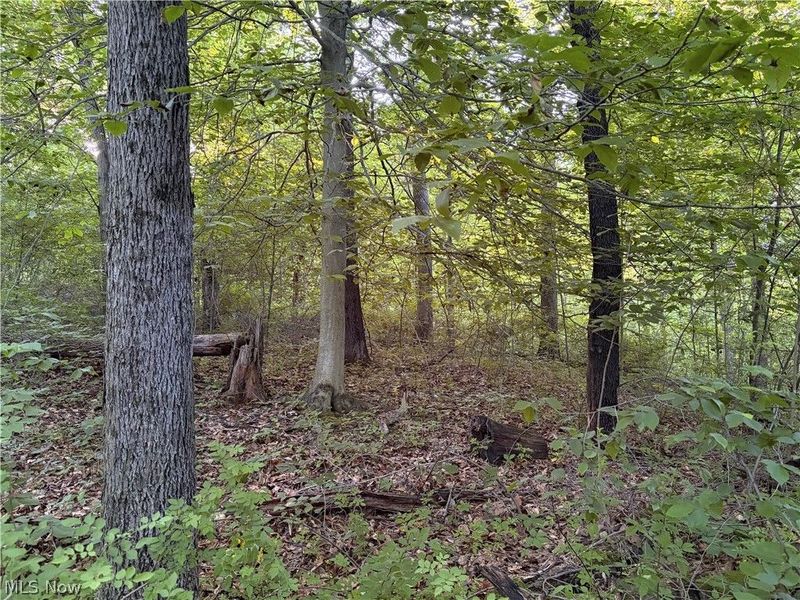 Sykes Ridge Road, Clarington, OH 43915 Photo 37