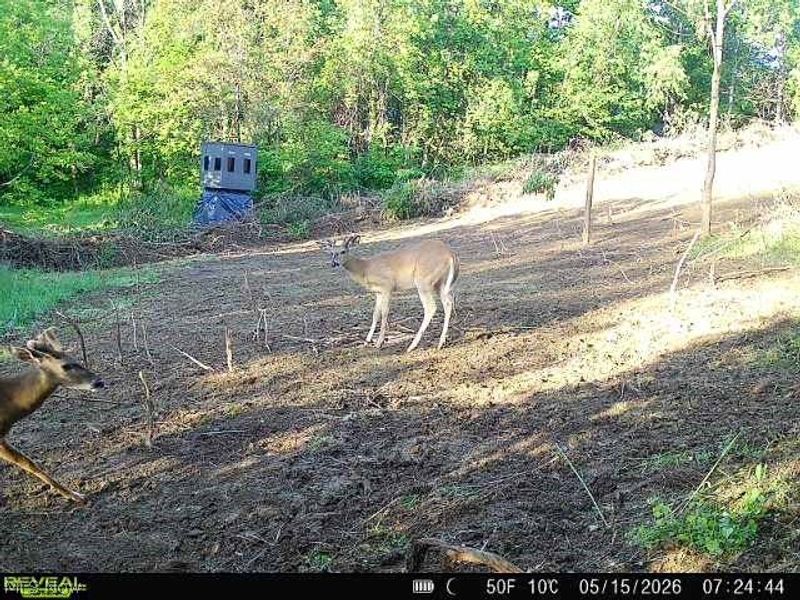 Sykes Ridge Road, Clarington, OH 43915 Photo 5