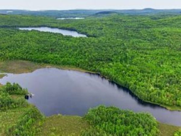 Lot# Bucksmills Road , Bucksport, ME 04416