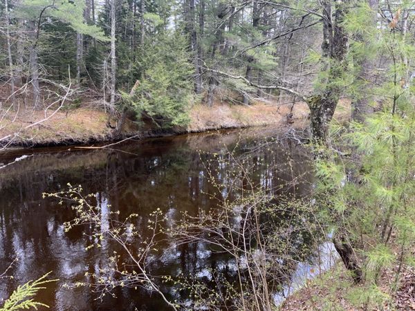 167 Maplewood Drive , Naples, ME 04055