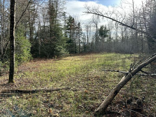 Map 8 Lot 12 Crane Bridge Road , Monroe, ME 04951