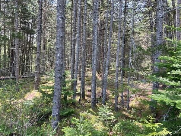 16 Woody Lane Lane , Cushing, ME 04563