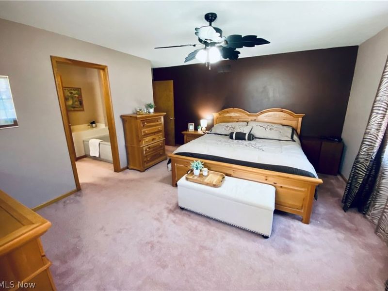 869 MOSS CANYON Drive, Amherst, OH 44001 Photo 21