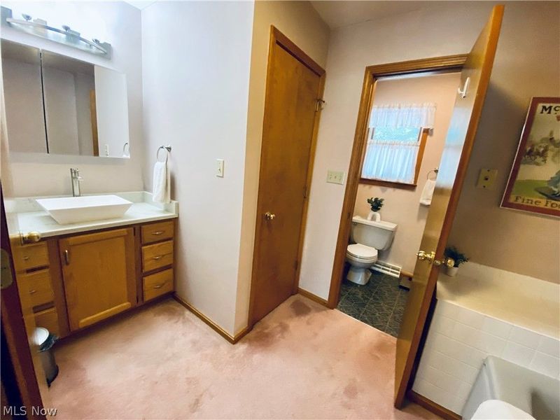 869 MOSS CANYON Drive, Amherst, OH 44001 Photo 21
