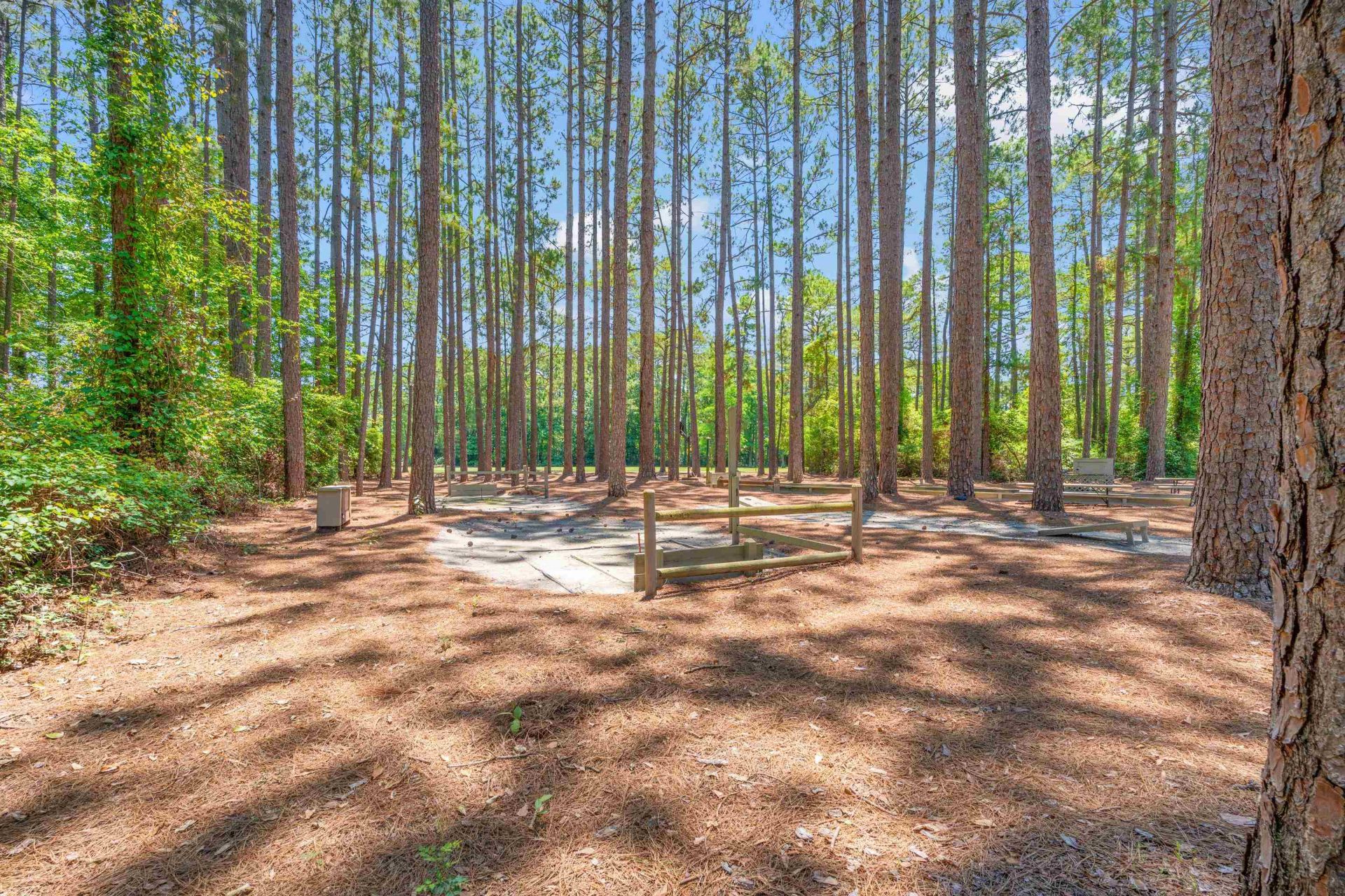 211 Butternut Circle  Photo 29