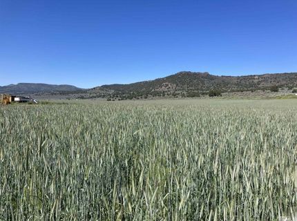 11069 Mosquito Road, Gerlach, NV 89412 Photo
