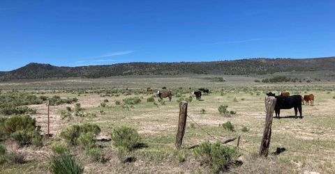 11069 Mosquito Road, Gerlach, NV 89412 Photo