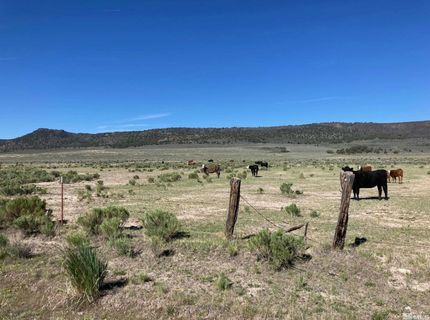 11069 Mosquito Road, Gerlach, NV 89412 Photo