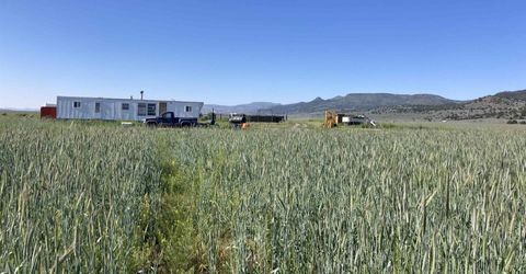 11069 Mosquito Road, Gerlach, NV 89412 Photo