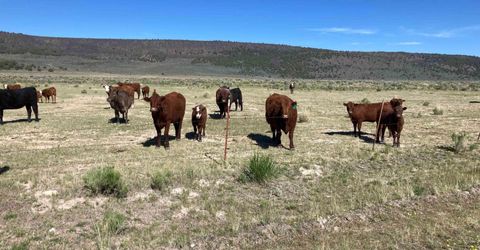 11069 Mosquito Road, Gerlach, NV 89412 Photo