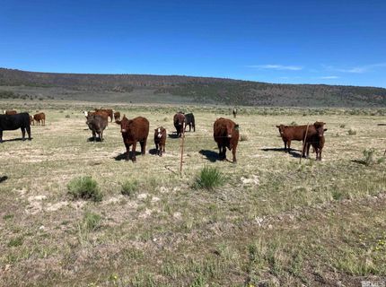 11069 Mosquito Road, Gerlach, NV 89412 Photo