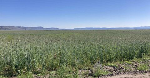 11069 Mosquito Road, Gerlach, NV 89412 Photo