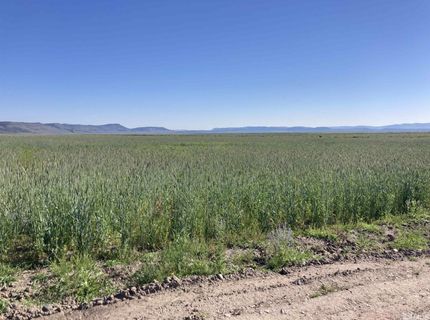 11069 Mosquito Road, Gerlach, NV 89412 Photo