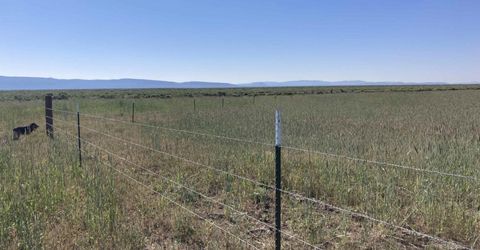 11069 Mosquito Road, Gerlach, NV 89412 Photo