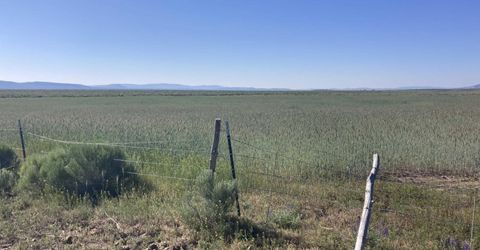 11069 Mosquito Road, Gerlach, NV 89412 Photo