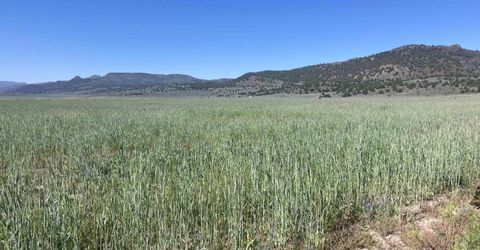 11069 Mosquito Road, Gerlach, NV 89412 Photo