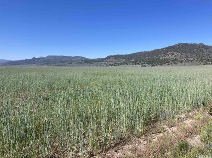 11069 Mosquito Road, Gerlach, NV 89412 Photo