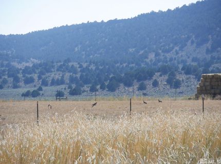 11069 Mosquito Road, Gerlach, NV 89412 Photo