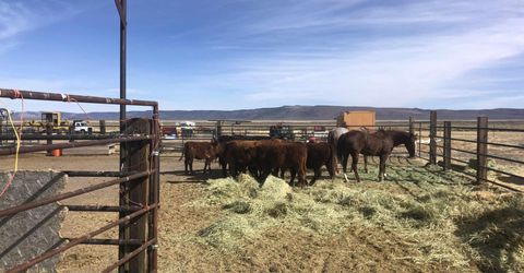 11069 Mosquito Road, Gerlach, NV 89412 Photo
