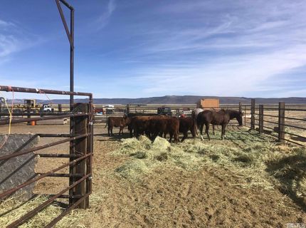 11069 Mosquito Road, Gerlach, NV 89412 Photo